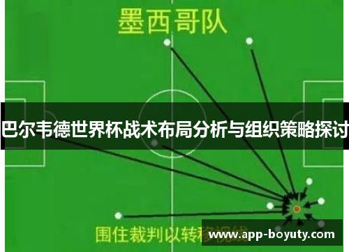 巴尔韦德世界杯战术布局分析与组织策略探讨