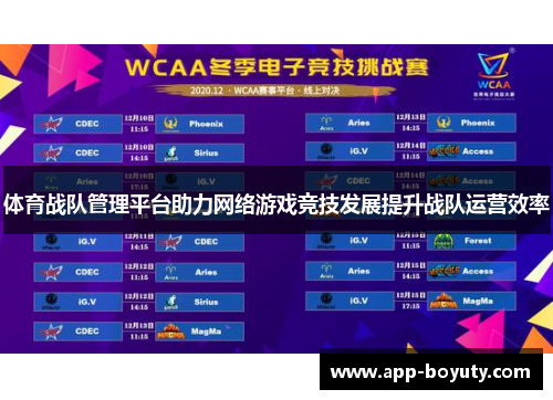 体育战队管理平台助力网络游戏竞技发展提升战队运营效率 体育战队管理平台助力网络游戏竞技发展提升战队运营效率