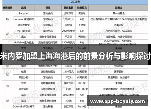 米内罗加盟上海海港后的前景分析与影响探讨