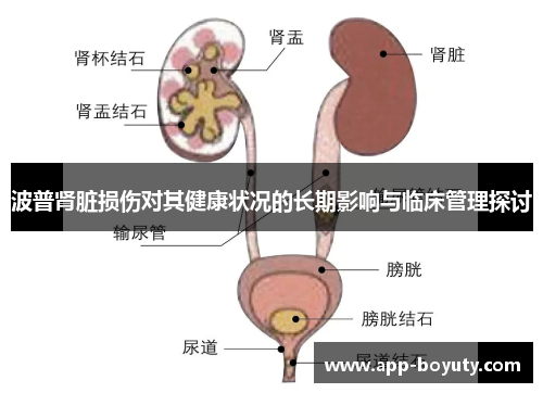 波普肾脏损伤对其健康状况的长期影响与临床管理探讨 波普肾脏损伤对其健康状况的长期影响与临床管理探讨