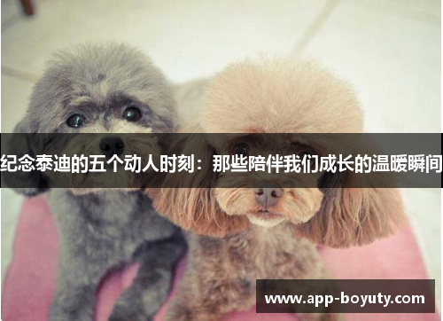 纪念泰迪的五个动人时刻：那些陪伴我们成长的温暖瞬间