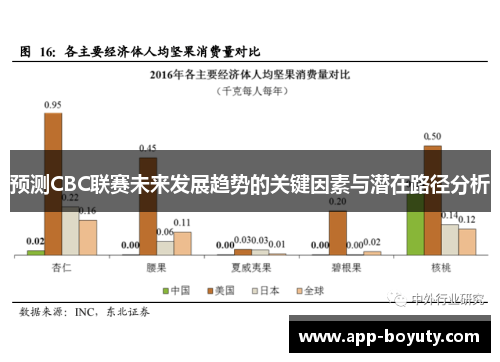 预测CBC联赛未来发展趋势的关键因素与潜在路径分析 预测CBC联赛未来发展趋势的关键因素与潜在路径分析